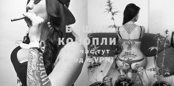 стафф Каменск-Шахтинский