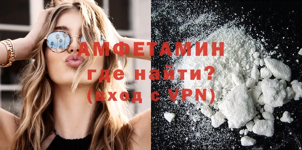 гидра Карпинск