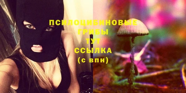 стафф Каменск-Шахтинский