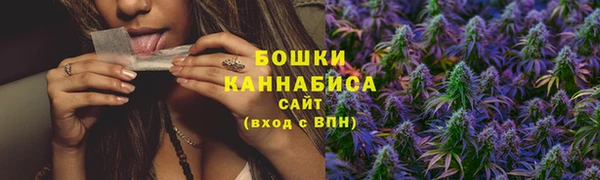 стафф Каменск-Шахтинский